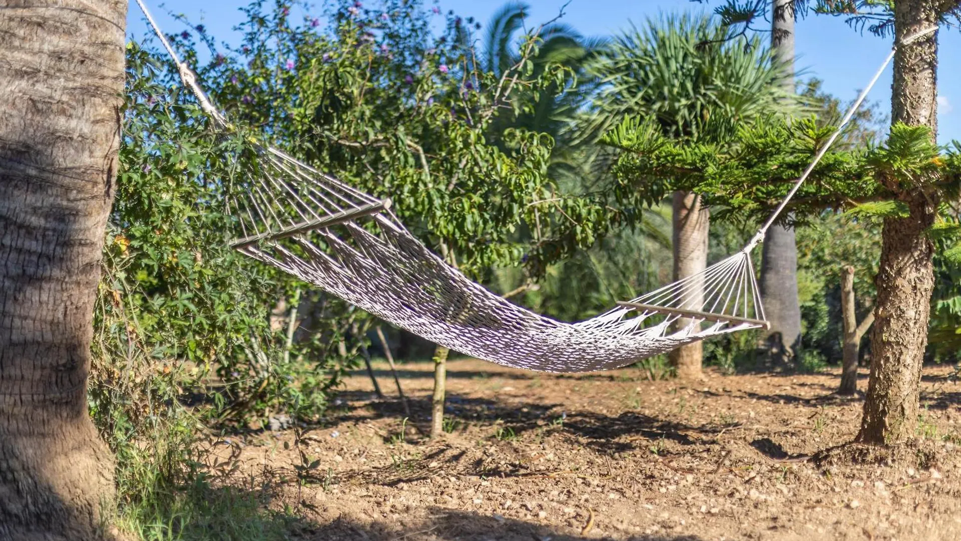 Finca Son Ramon Llull Manacor  Manacor (Mallorca)
